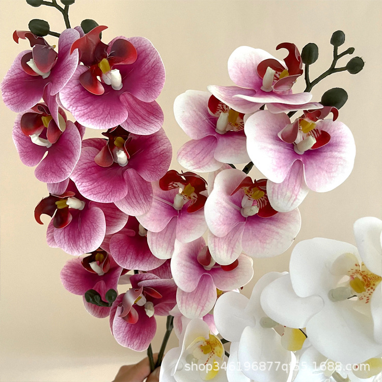 3D Printing Ai - 5Pc 3D Print Film Phalaenopsis Artificial
