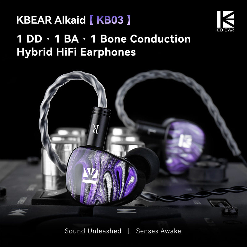 KBEAR Alkaid KB03 HiFi IEM Ear - 3D Printing Office Setup 评论和价格
