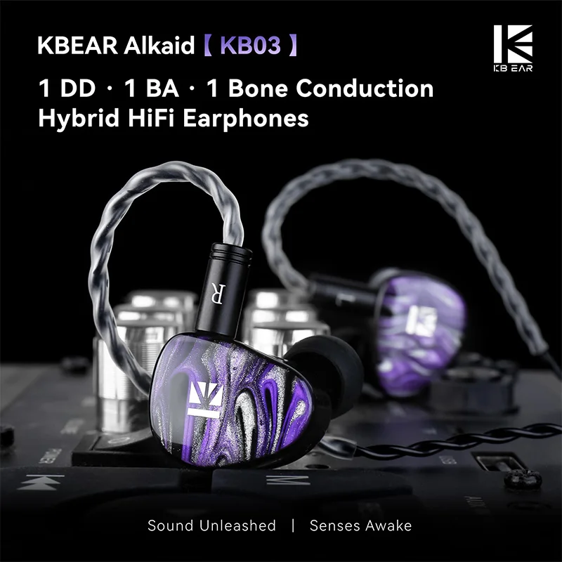 KBEAR Alkaid KB03 HiFi IEM Ear - 3D Printing Office Setup 评论和价格