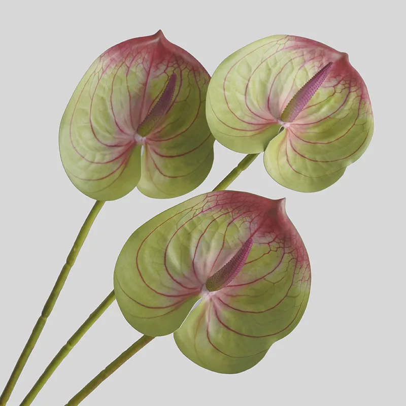 Simulated Flower Living Room H - 3D Printing Ai 评论和价格