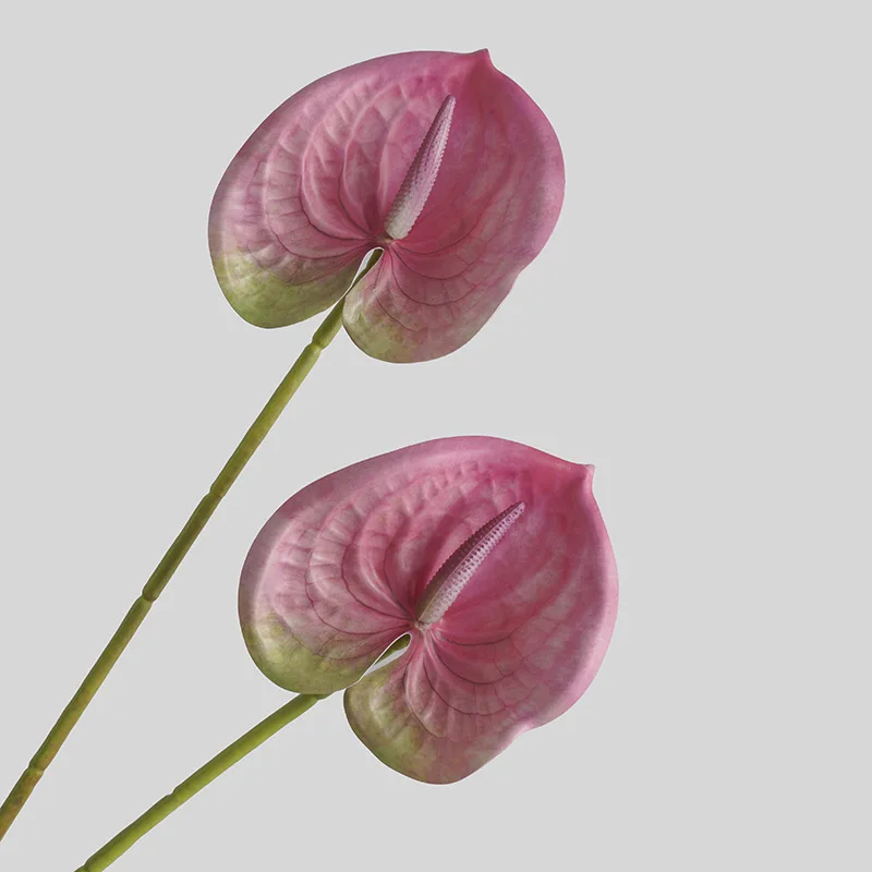Simulated Flower Living Room H - 3D Printing Ai 评论和价格