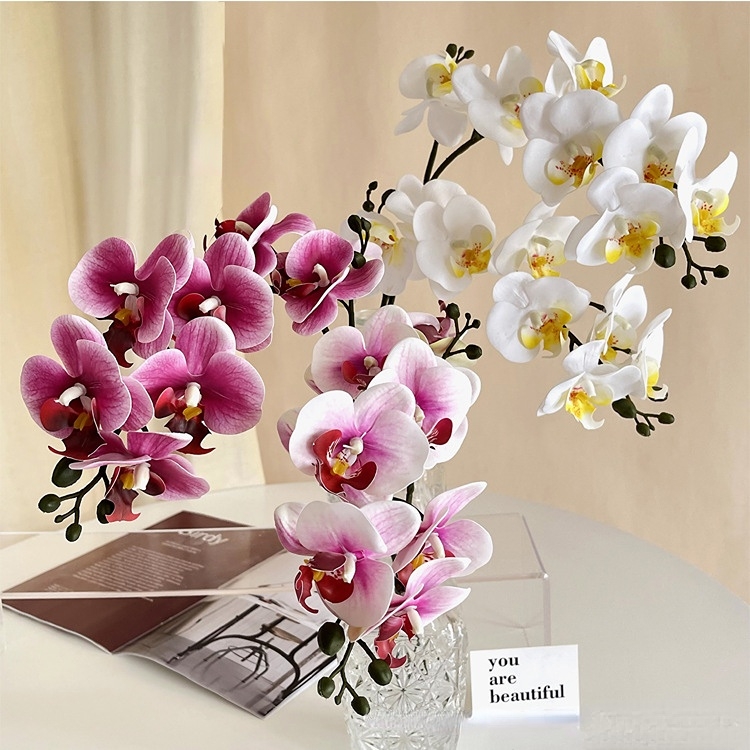 5Pc 3D Print Film Phalaenopsis - 3D Printing Ai 评论和价格