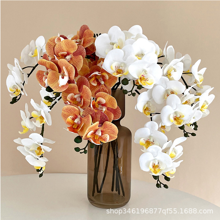 5Pc 3D Print Film Phalaenopsis - 3D Printing Ai 评论和价格